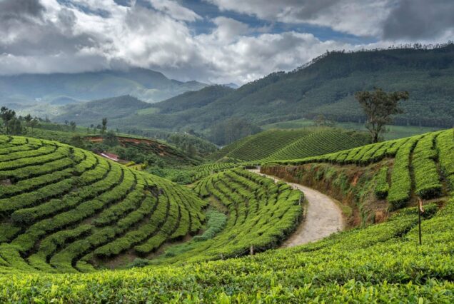Kerala With Trivendrum 5N 6D