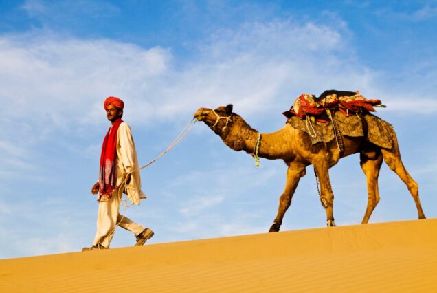 Rajasthan Tour Packages 7N 8D