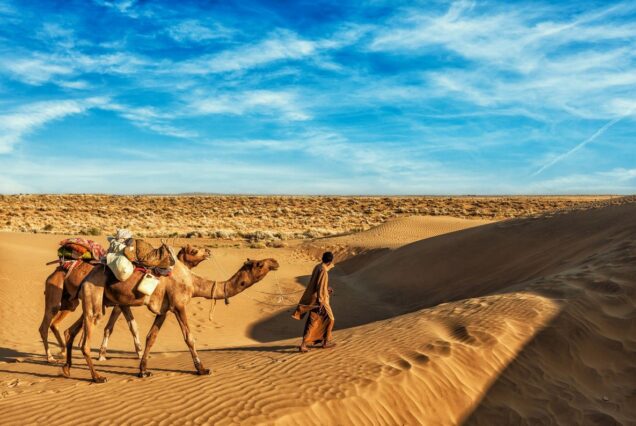 Rajasthan Tour Packages 7N 8D