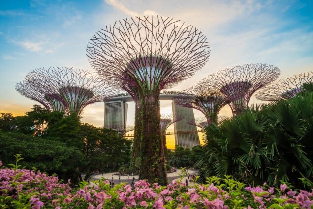 Singapore Tour Package - 4N 5D