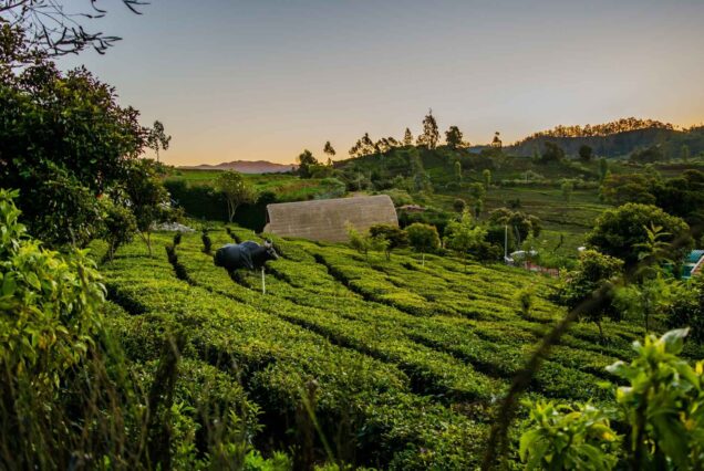 Mysore & Ooty Women's Special Tour Package
